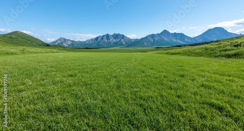 Breathtaking mountain landscape with lush green meadow