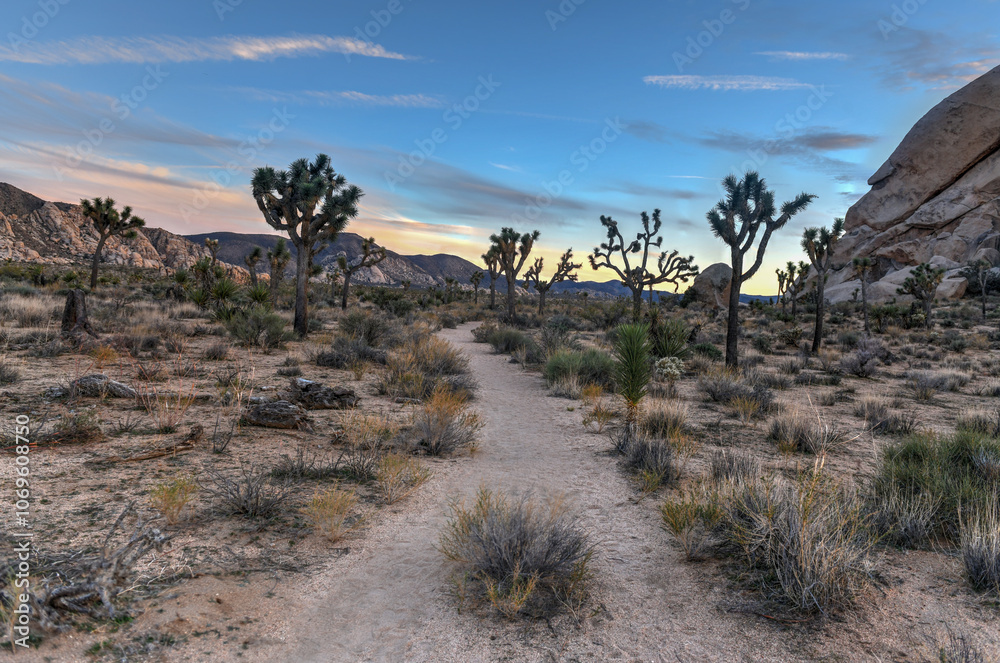 Joshua Tree National Park