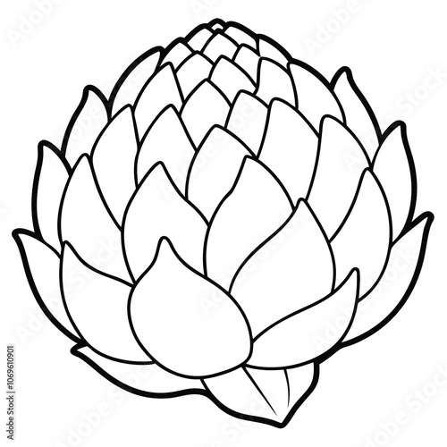 Hand-drawn artichoke vector illustration