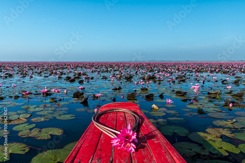 Bilde på lerret Scenic beautiful view nature Landscape Red Lotus Sea It is covered soft light in morning, Lake of pink lotus, Red lotus sea Kumpavapee, Udon Thani, Thailand
