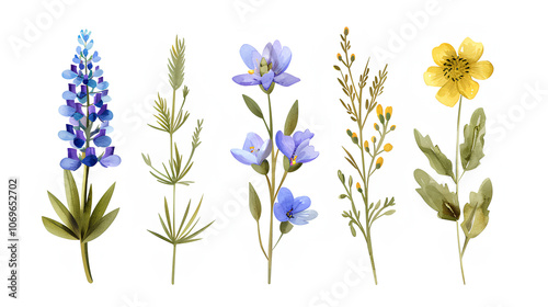 Watercolor Wildflowers Set Blue Purple Yellow Flowers Floral Illustration Nature Botanical Design