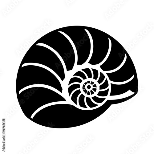 Spiral outline seashell vector icon design