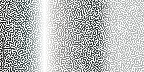 Abstract Reaction-diffusion Turing pattern natural texture Silber gradient color scheme. Linear design with biological algorithm psychedelic background. Reaction-diffusion or truing patter