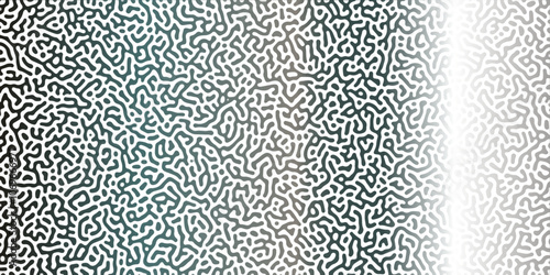 Abstract Reaction-diffusion Turing pattern natural texture Silber gradient color scheme. Linear design with biological algorithm psychedelic background. Reaction-diffusion or truing patter