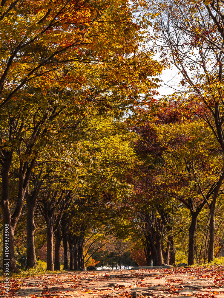 Naklejka premium autumn in the park