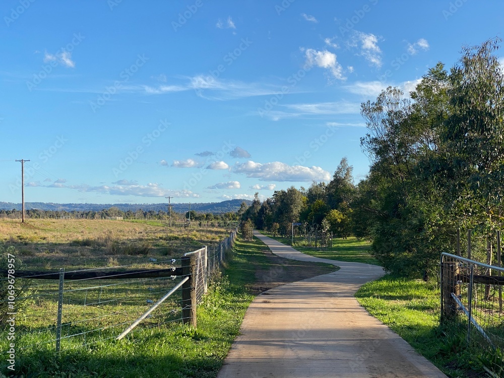 Camden bush walk Camden bush walk