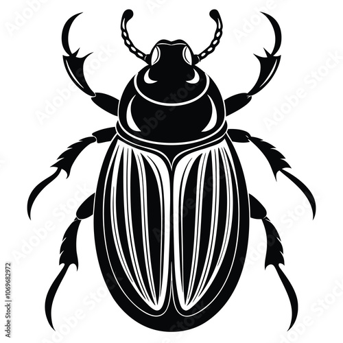 Scarab beetle vector silhouette. Isolated scarab beetle on white background