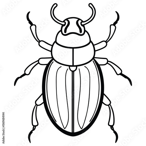 Hand-drawn scarab beetle vector illustration. Isolated scarab beetle on white background