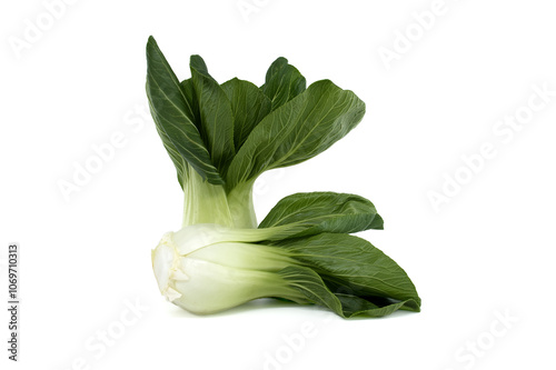 Fresh bok choy on a white background showcasing vibrant green leaves and crisp stems