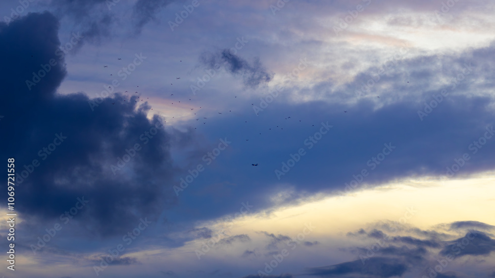 Birds Against a Dramatic Sky Birds Against a Dramatic Sky