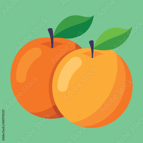 Apricot fruit vector art illustration