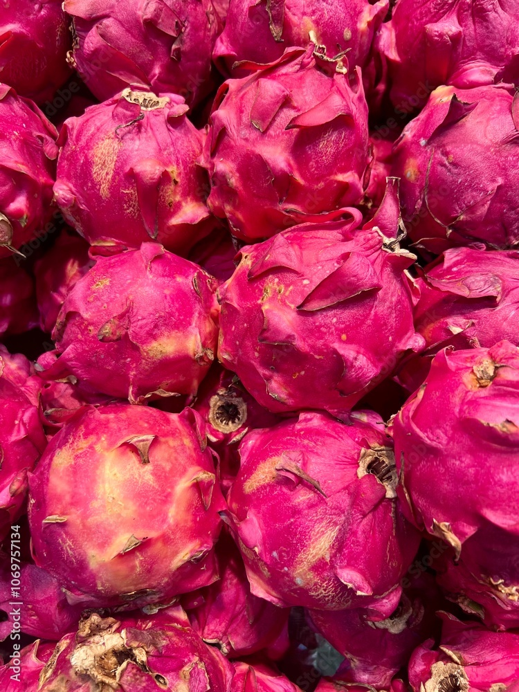 Photo of a bunch of fresh dragon fruit in a container Photo of a bunch of fresh dragon fruit in a container