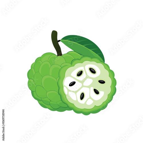 Sugar apple or custard apple with green leaves, isolated on white background