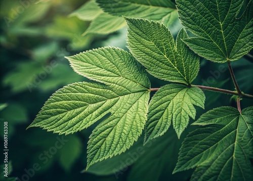 Lush Green Leaves Pattern in Nature's Design - Vibrant Texture of Leafy Foliage for Stunning Landscape Photography and Nature-Inspired Artworks