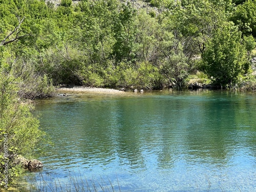 Dabarnica Stream, right tributary of the Zrmanja River (Velebit Nature Park, Croatia) - Potok Dabarnica, desna pritoka rijeke Zrmanje (Park prirode Velebit, Hrvatska) photo