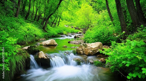 Lush Green Forest Stream with Waterfall and Rocks