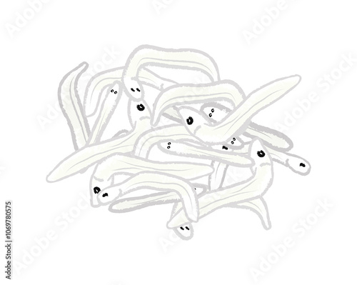 Φωτογραφία A group of small whitebait fish