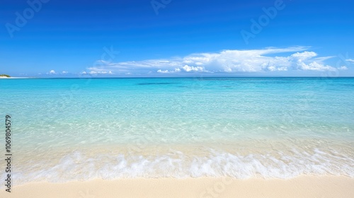 Serene Tropical Beach with Clear Blue Water