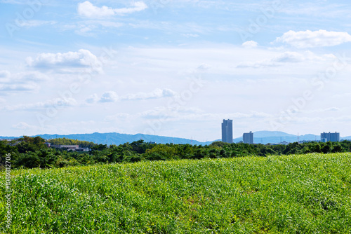 島本町の風景