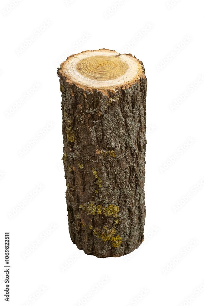 A single log of wood for kindling the stove, is isolated. Log is lying on its side, one end is visible as a circular cross-section. A single log of wood for kindling the stove, is isolated. Log is lying on its side, one end is visible as a circular cross-section.