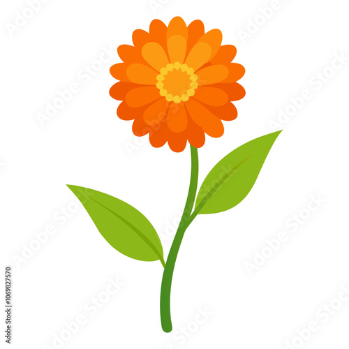 Calendula Flower Color Vector Art.