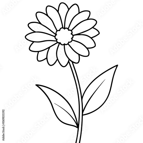 Medicinal Calendula Line Art.