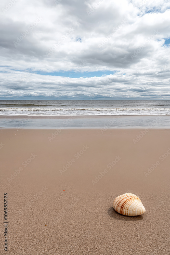 A solitary shell rests on a sandy beach under a cloudy sky near the ocean's gentle waves A solitary shell rests on a sandy beach under a cloudy sky near the ocean's gentle waves