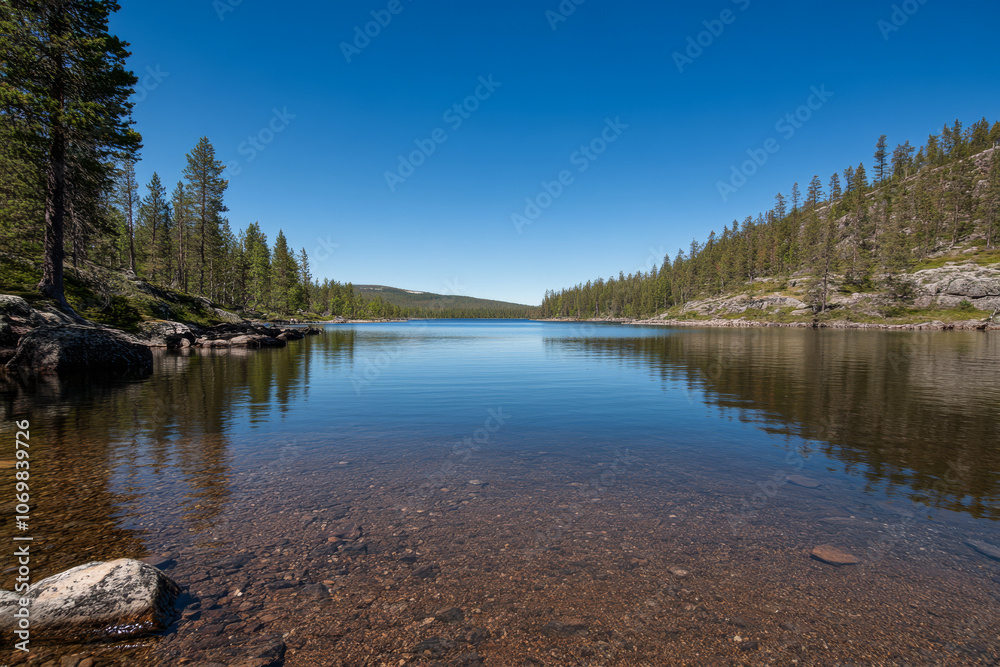 Tranquil lake surrounded by pine trees under a clear blue sky in a serene wilderness setting Tranquil lake surrounded by pine trees under a clear blue sky in a serene wilderness setting