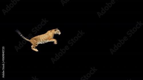 tiger jump over screen photo