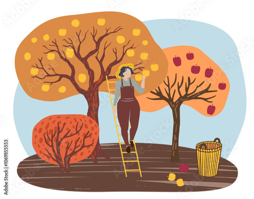 woman picking yellow apples from a tree using a ladder, with a basket. The scene has a simple, warm, and autumnal vibe, ideal for themes related to harvest, nature, and rural life.