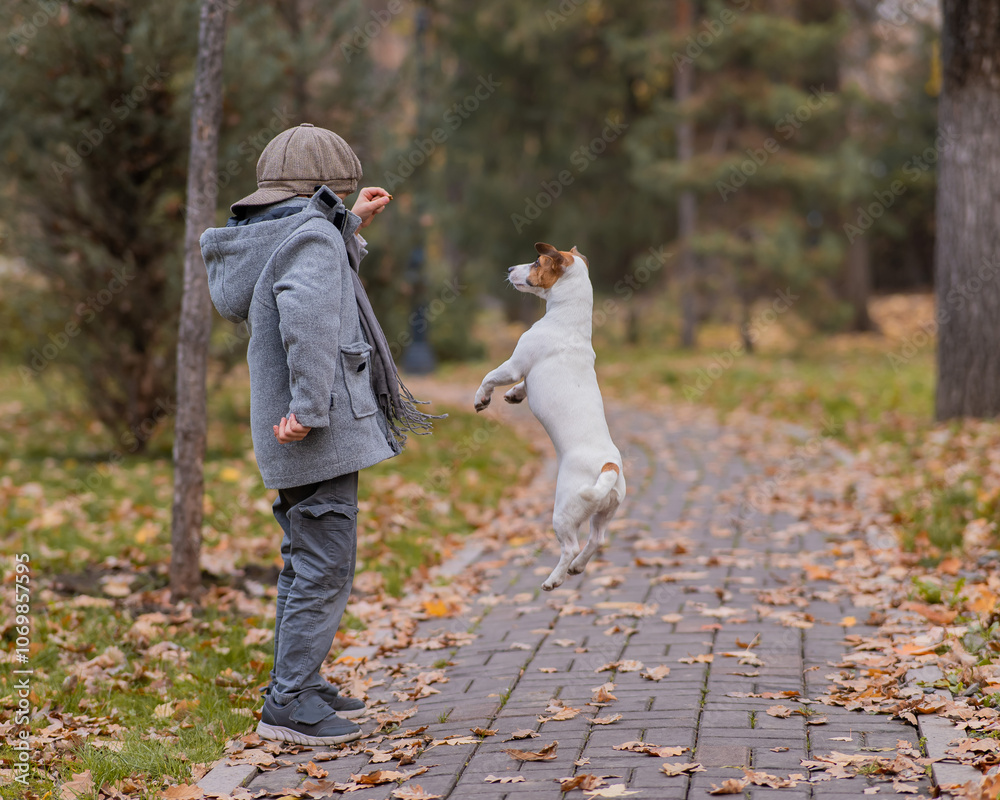 Fototapeta premium Caucasian boy playing with a dog for a walk in the autumn park. 
