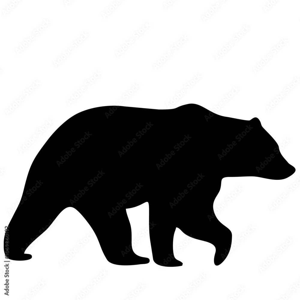 Fototapeta premium bear