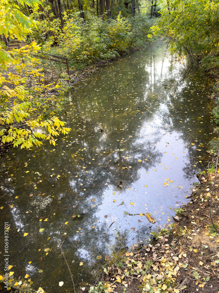 A river with leaves floating on the surface A river with leaves floating on the surface