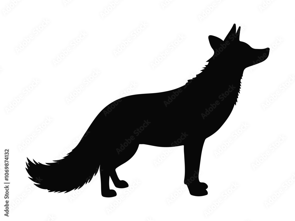 Silhouette of a fox standing in a natural pose. Silhouette of a fox standing in a natural pose.