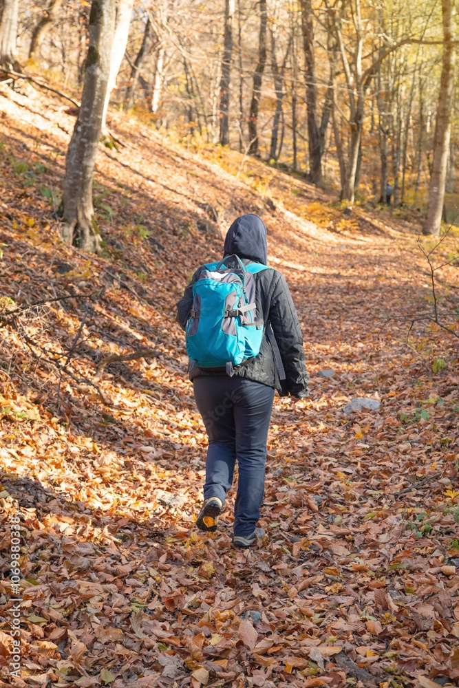 Woman with a backpack walk a forest path. Woman with a backpack walk a forest path.