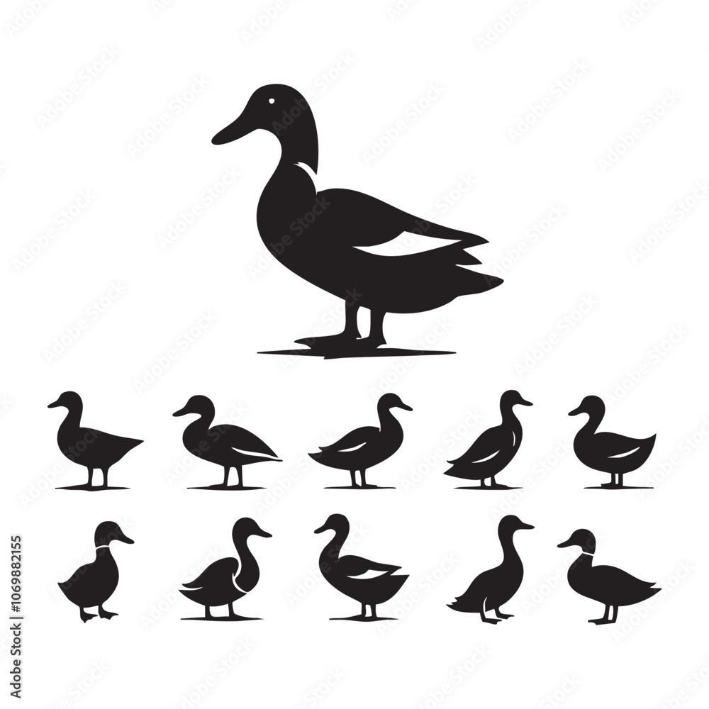 Set of duck silhouette Set of duck silhouette