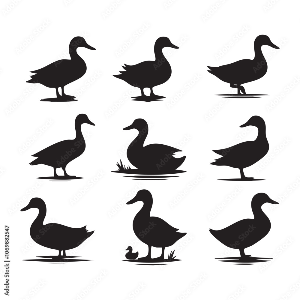 Obraz premium Set of duck silhouette