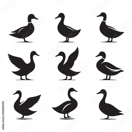 Set of duck silhouette