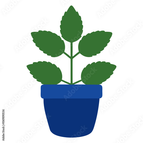 Medicinal Peppermint Flower Vector.