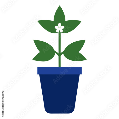 Medicinal Peppermint Flower Vector.