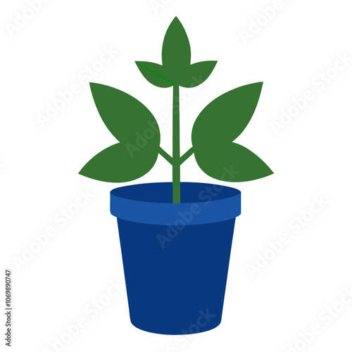 Medicinal Peppermint Flower Vector.