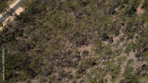 Aerial views over the Leichhardt Highway, North of Miles, Queensland, Australia. photo