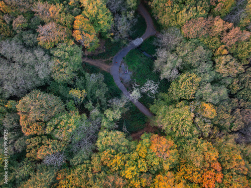 Polonezkoy Village Forest in the Autumn Season Drone Photo, Beykoz Istanbul, Turkiye (Turkey) photo