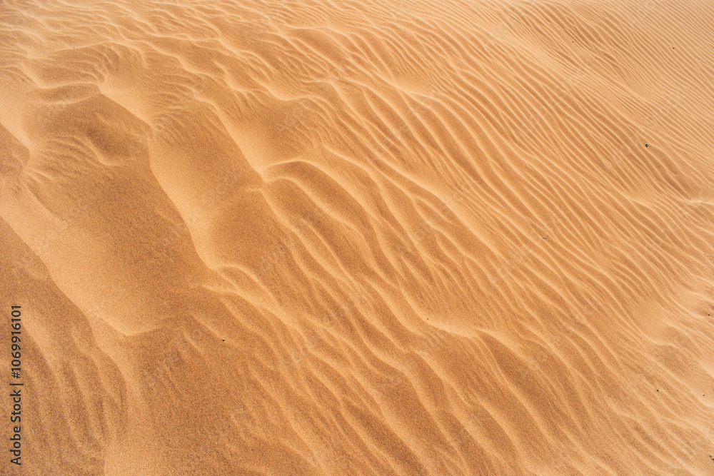Dunes on the beach on Lanzarote Canary Island Dunes on the beach on Lanzarote Canary Island