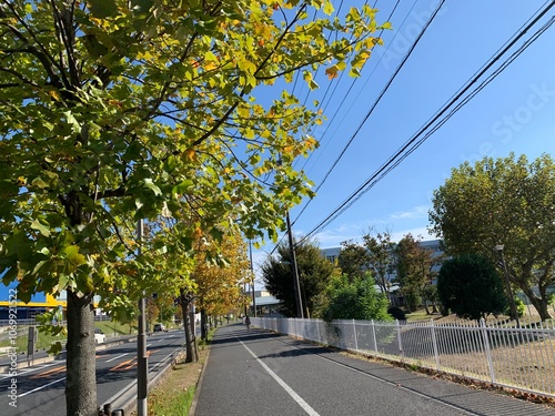 三郷市内の景色 photo