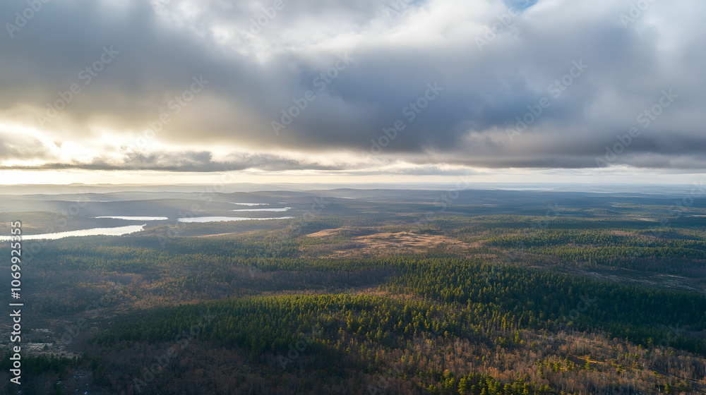 Aerial view of a forest landscape with a cloudy sky and a sunbeam breaking through the clouds. Aerial view of a forest landscape with a cloudy sky and a sunbeam breaking through the clouds.