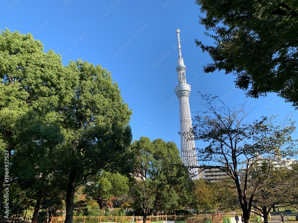 Obraz premium 墨田区立隅田公園の景色