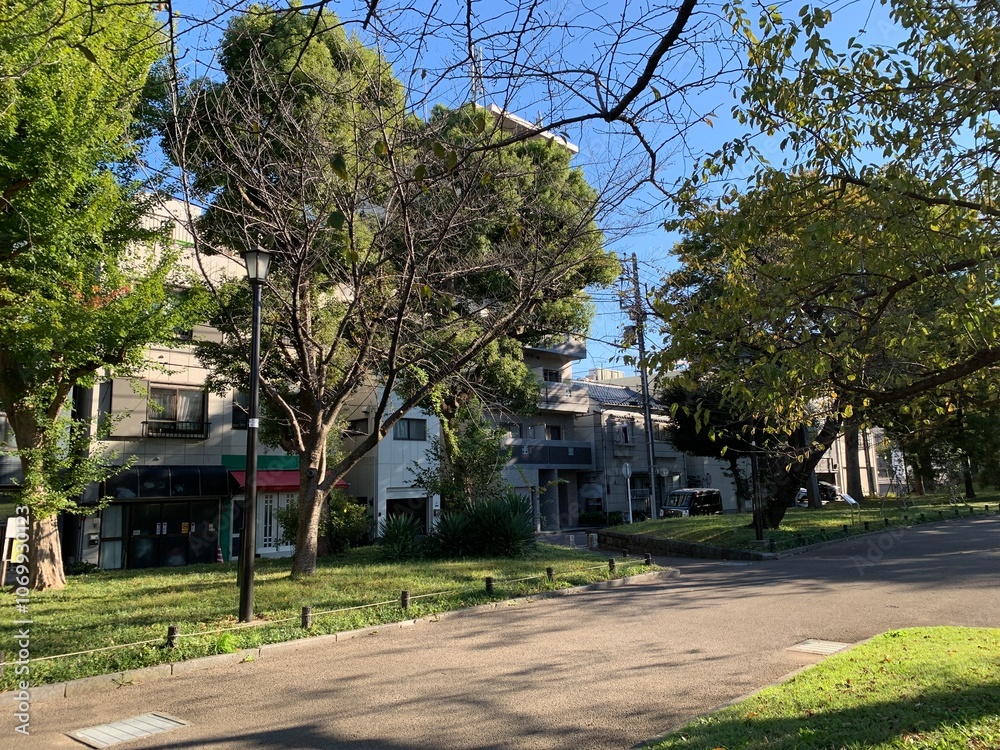 Fototapeta premium 墨田区立隅田公園の景色