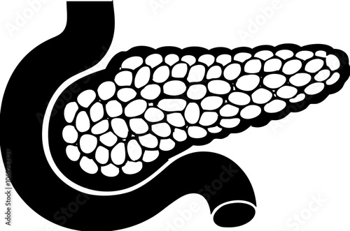 pancreas