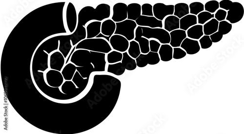 pancreas